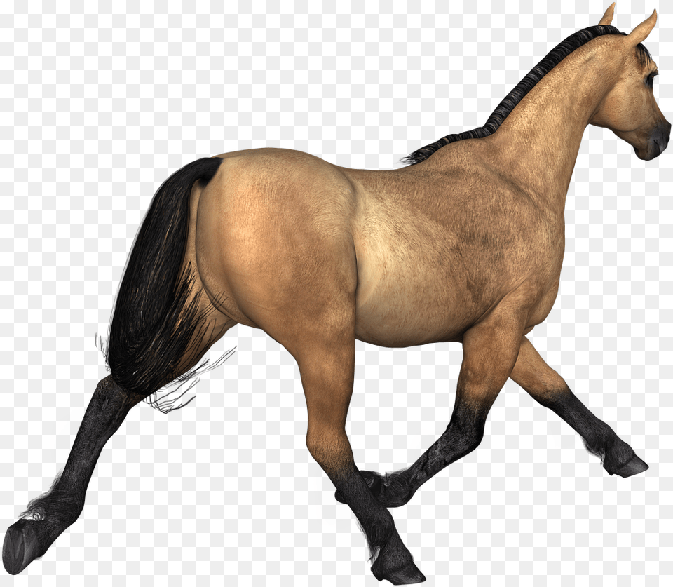 Horses Brown Horse Rear View Horse Brown, Animal, Colt Horse, Mammal, Stallion Free Png Download