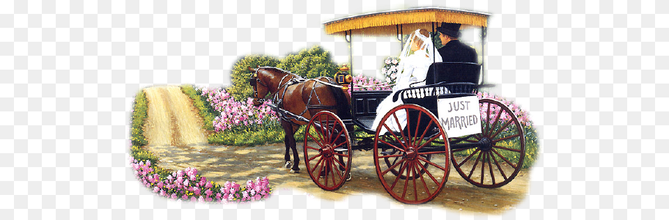 Horses Carriages Marriage, Adult, Mammal, Horse, Man Free Png