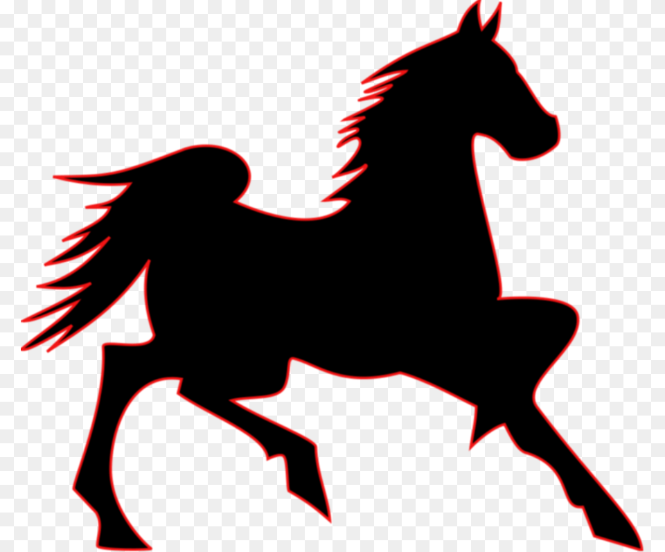 Horses Clip Art, Person, Animal, Colt Horse, Horse Free Transparent Png