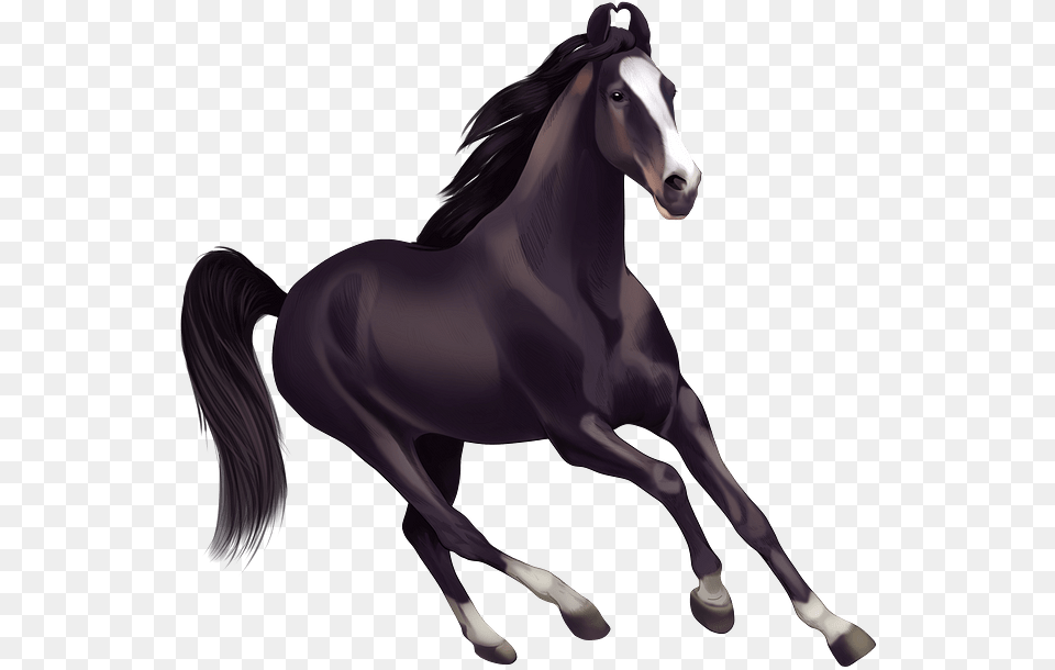 Horses Clipart, Animal, Colt Horse, Horse, Mammal Png