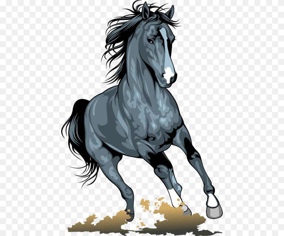 Horses Illustration, Horse, Animal, Stallion, Mammal Png Image