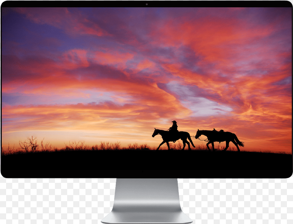 Horses In The Sunset Download Horses In The Sunset, Sky, Silhouette, Outdoors, Nature Png Image