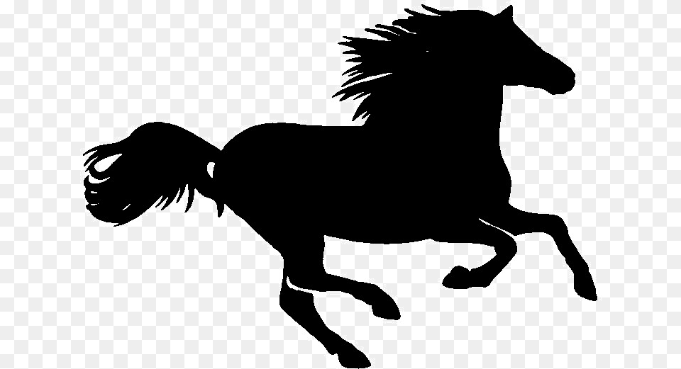 Horses Riding Gif, Silhouette, Animal, Mammal, Baby Free Transparent Png