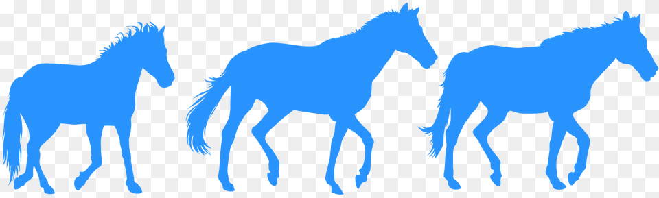 Horses Running Silhouette, Animal, Colt Horse, Horse, Mammal Png