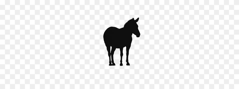 Horses Wild Sanctuary Ranch Animal Livestock Background Silhouette, Horse, Mammal Png Image