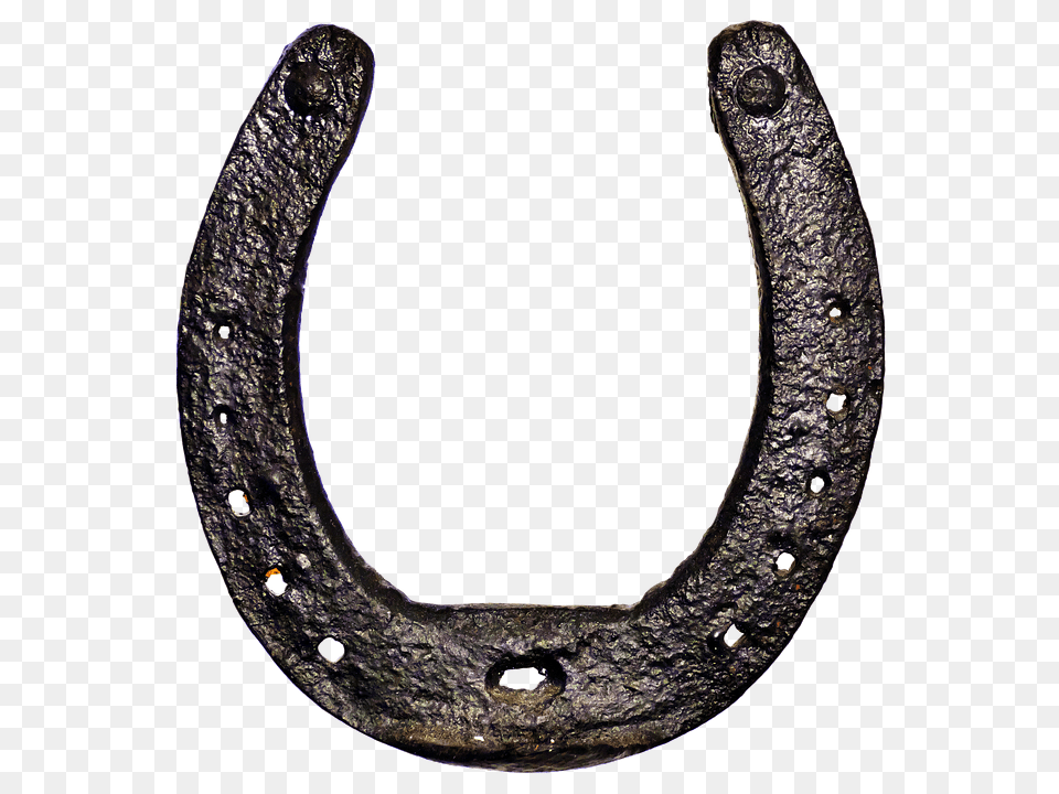 Horseshoe, Animal, Reptile, Snake Free Png