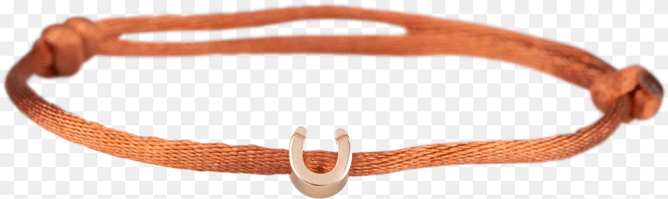 Horseshoe Bracelet Leather, Accessories, Jewelry, Animal, Reptile Png