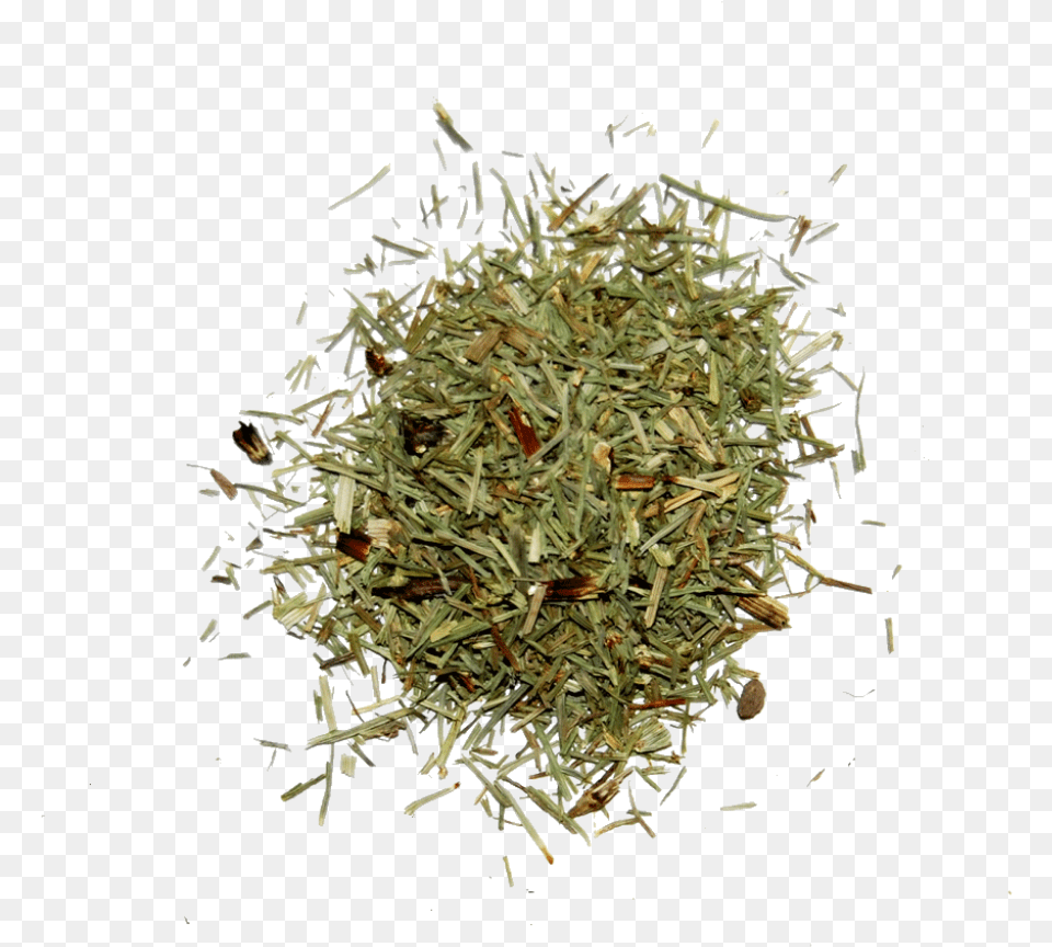 Horsetail Central Market, Herbal, Herbs, Plant, Food Free Transparent Png