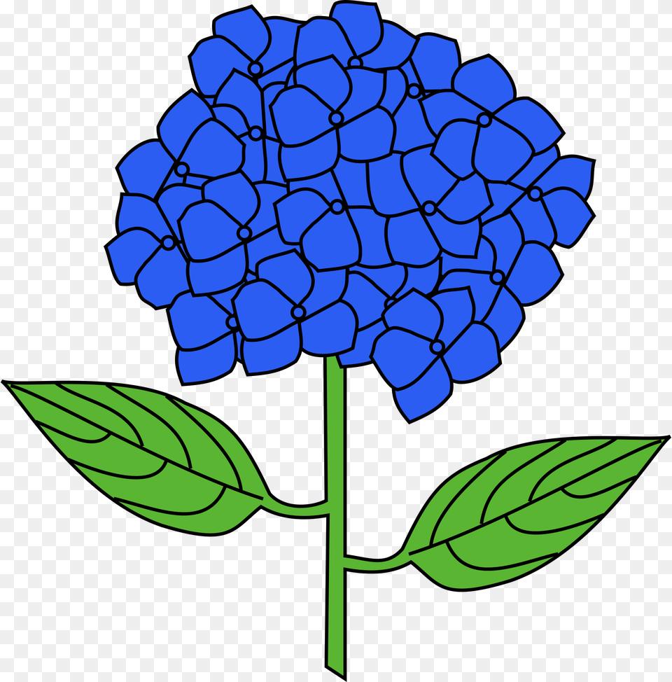 Hortensia Clipart, Leaf, Plant, Flower, Berry Free Transparent Png