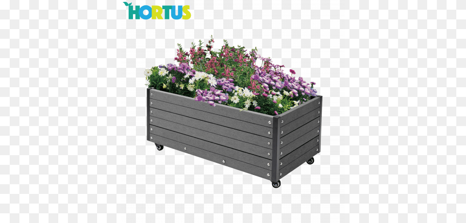 Hortus Flower Bed Wpc 36 X 90 X 50 Cm Hjbed P Hjul Vedligeholdelsesfri, Jar, Plant, Planter, Potted Plant Free Transparent Png