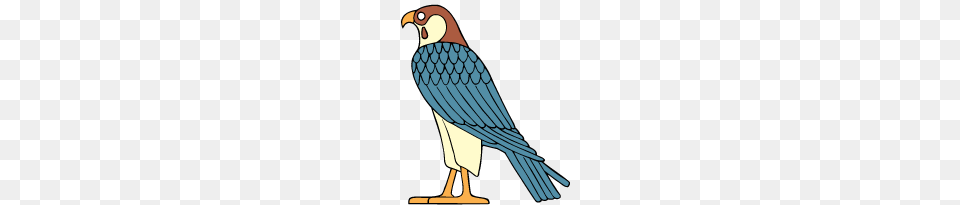 Horus Eye Great Scotts Ancient Egypt, Animal, Bird, Vulture, Kite Bird Png