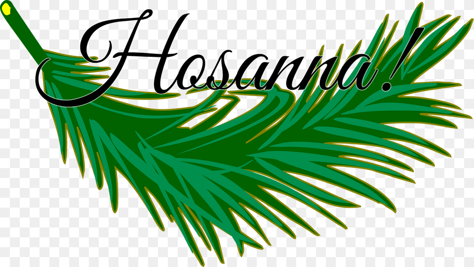 Hosanna In The Highest, Green, Tree, Conifer, Plant Free Transparent Png