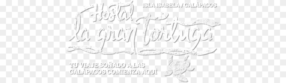 Hostal La Gran Tortuga, Advertisement, Text, Poster Free Png Download