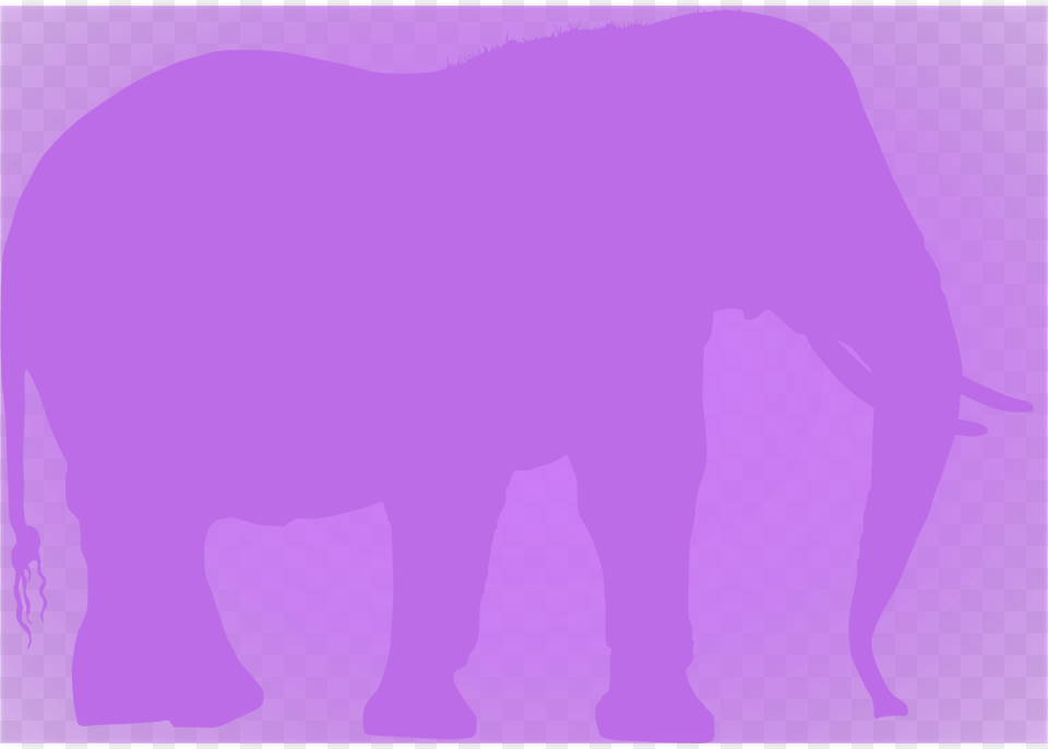 Hostel, Purple, Animal, Mammal Png Image