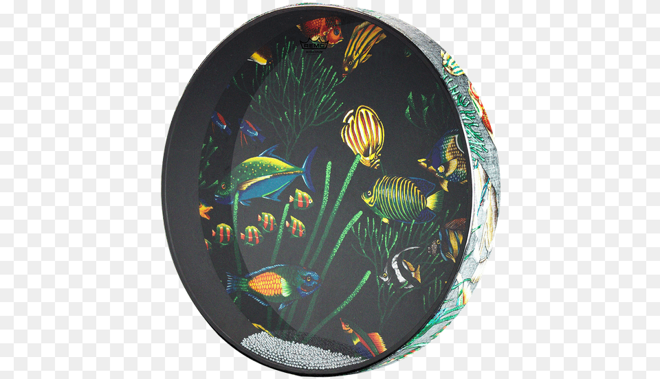 Hot Air Balloon, Animal, Fish, Sea Life, Photography Free Png Download