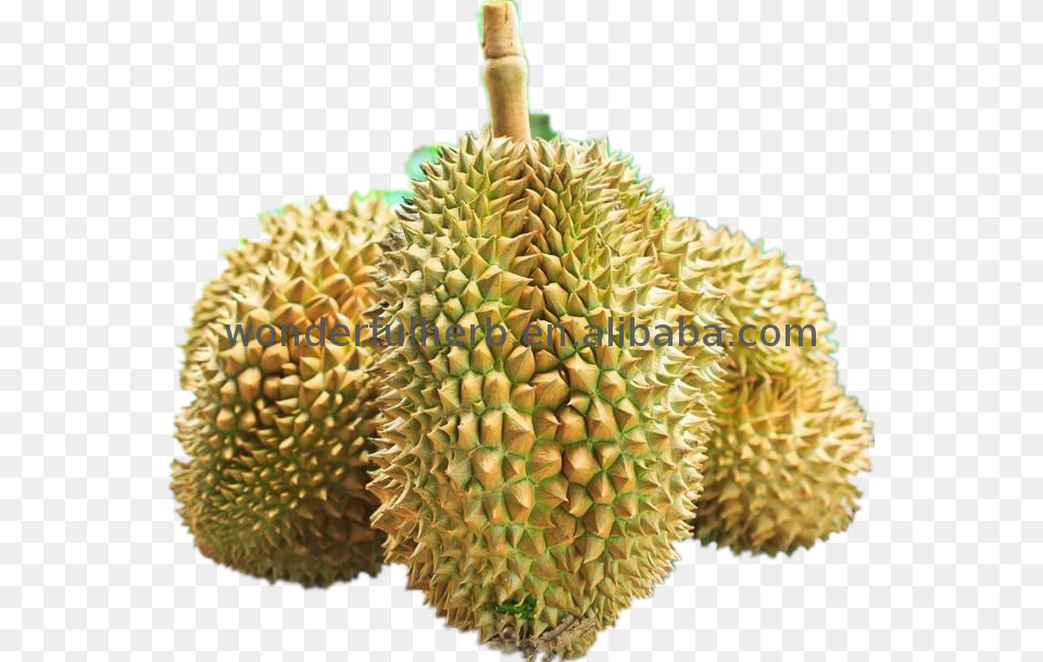 Hot Bn Nguyn Mt Ht Ging Bt Dinh Dng Su Ring Durian, Food, Fruit, Plant, Produce Free Transparent Png