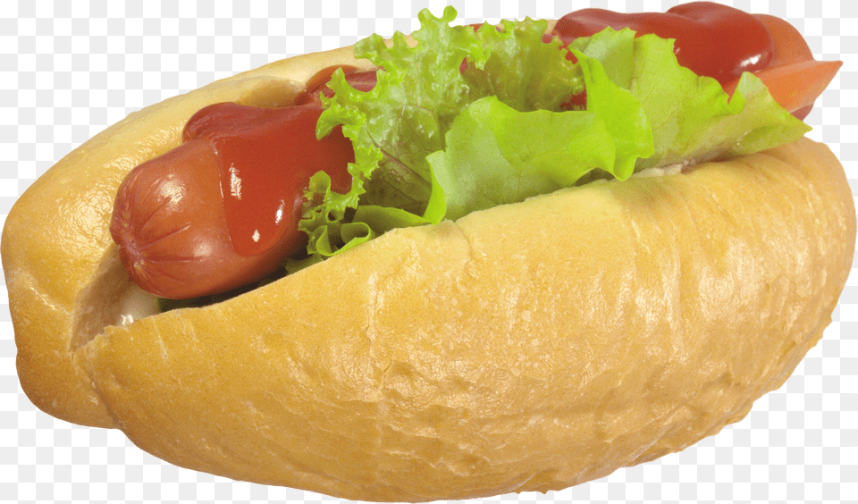 Hot Dog Png