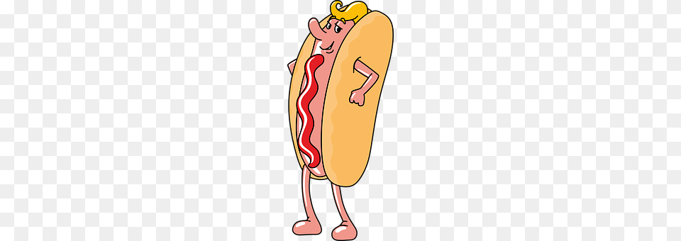 Hot Dog Food, Hot Dog, Ketchup Png Image