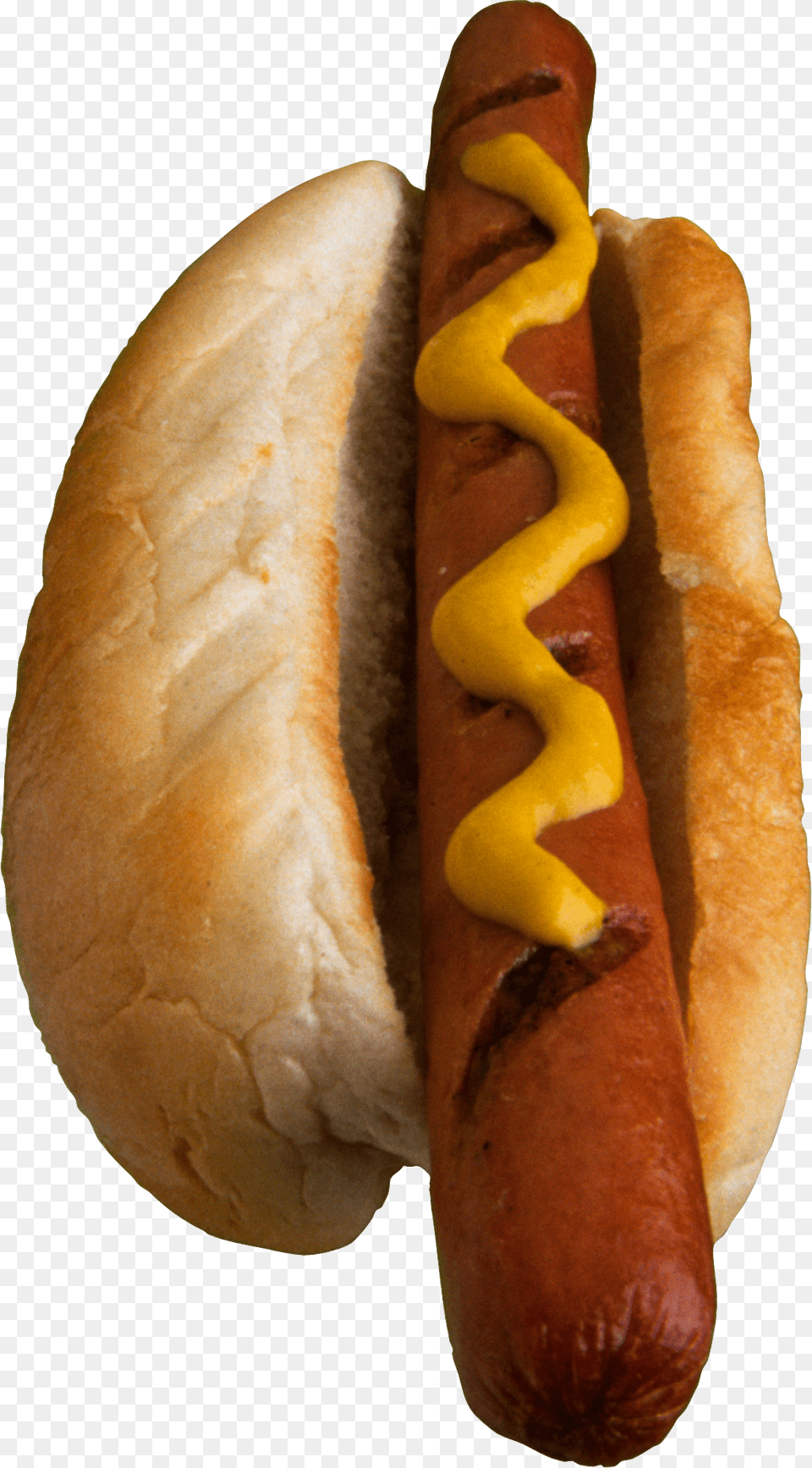 Hot Dog, Food, Hot Dog, Bread Png Image