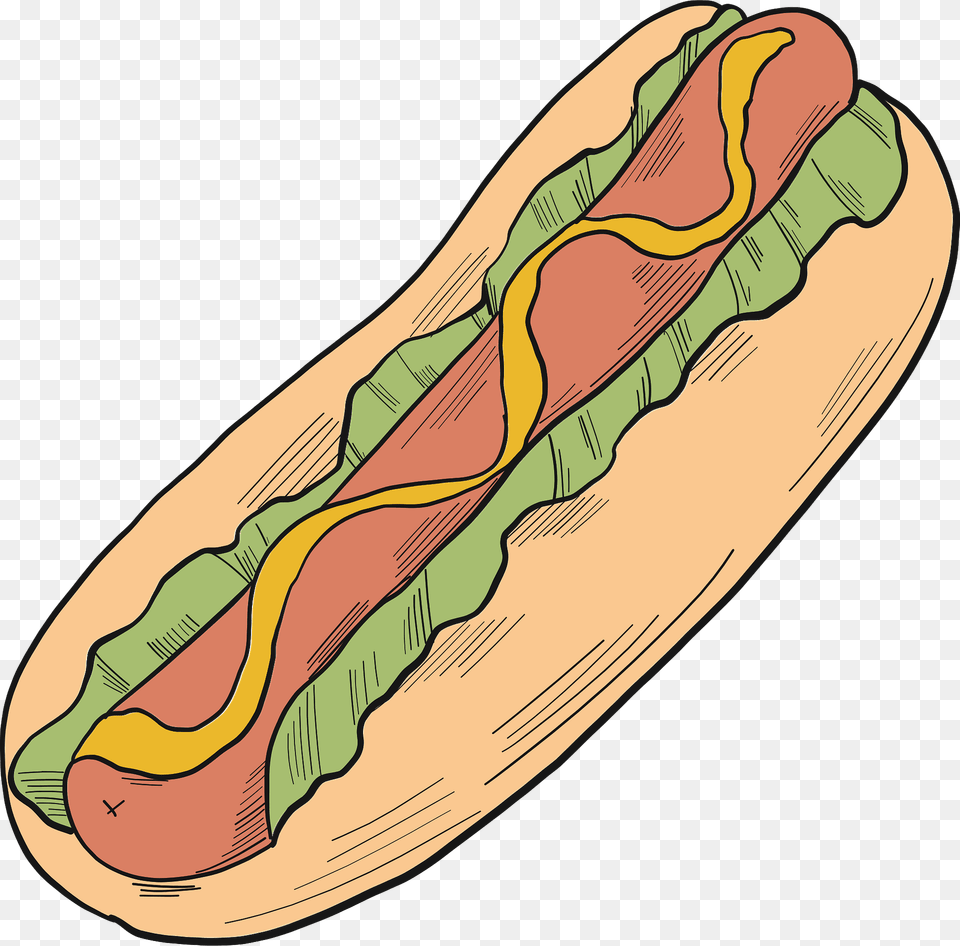 Hot Dog Clipart, Food, Hot Dog, Person, Skin Png Image