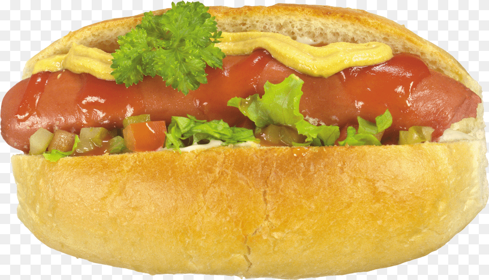 Hot Dog Images Download Hot Dog Free Transparent Png