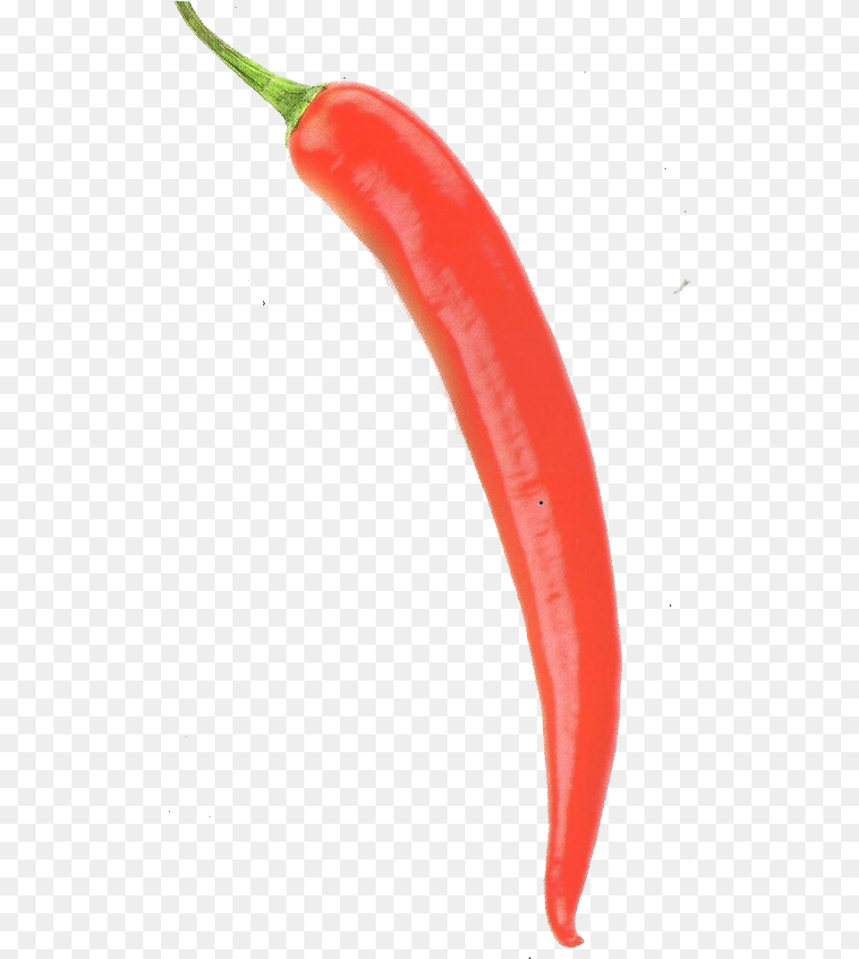 Hot Pepper 2 Hot Pepper Chili Pepper, Food, Produce, Plant, Vegetable Png