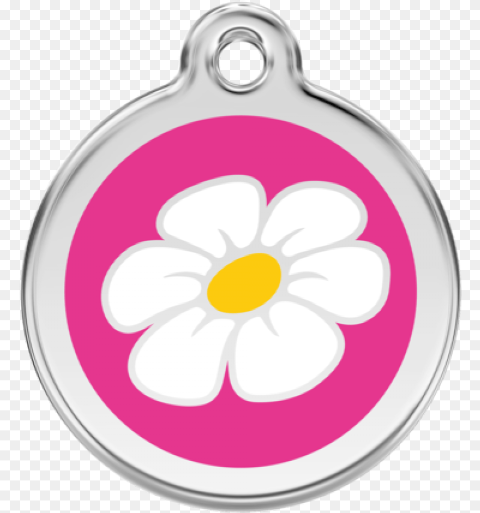 Hot Pink Daisy Pet Tag, Accessories, Flower, Plant, Pendant Free Png Download