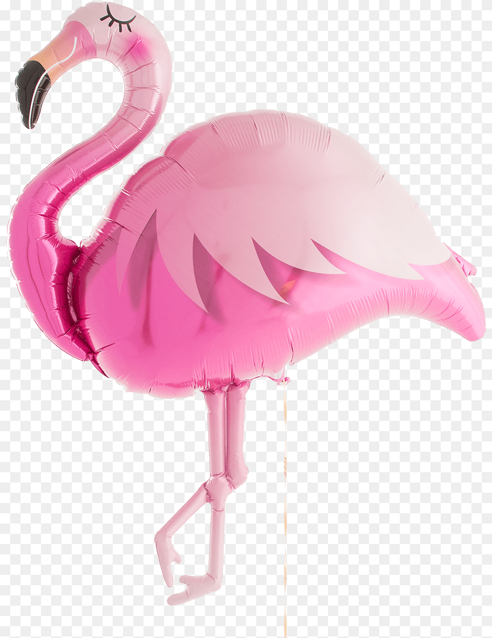 Hot Pink Flamingo Supershape, Animal, Bird Png Image