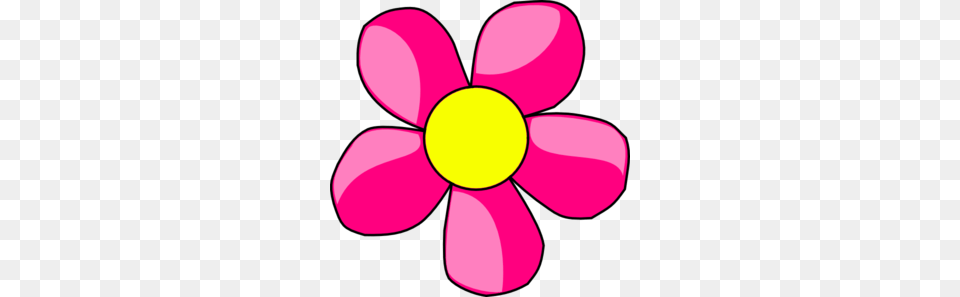 Hot Pink Flower Clipart, Anemone, Daisy, Petal, Plant Png