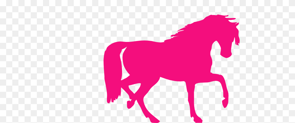 Hot Pink Horse Clip Art, Animal, Mammal, Wildlife, Zebra Png