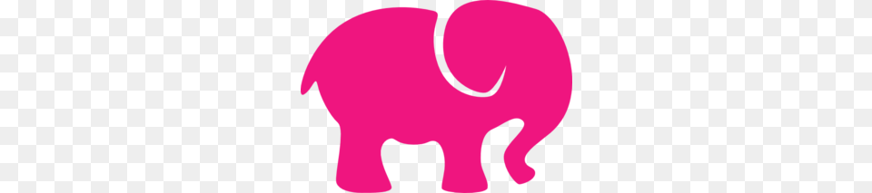 Hot Pink Photo Booth Pink Photo, Baby, Person, Animal, Mammal Png