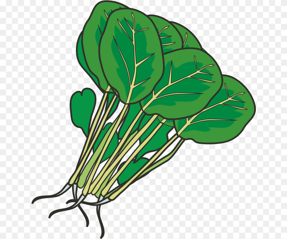 Hot Pot Leaf Vegetable Spinach Clip Art Spinach Clipart, Food, Leafy Green Vegetable, Plant, Produce Free Png