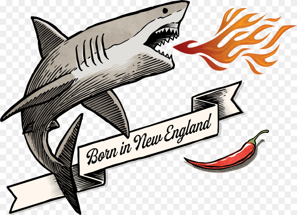 Hot Sauce, Animal, Fish, Sea Life, Shark Free Png