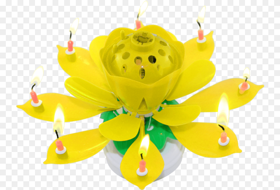 Hot Selling Colorful Lotus New Design Colorful Unique Lily Family, Birthday Cake, Cake, Food, Cream Png