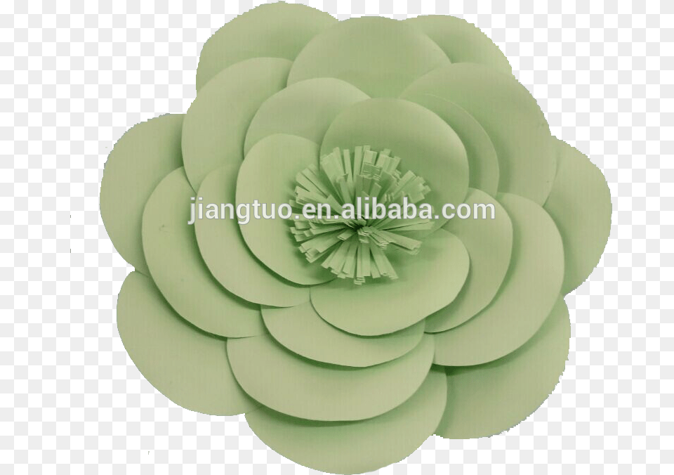 Hot Selling White Different Size And Shape Christmas Artificial Flower, Plant Free Transparent Png