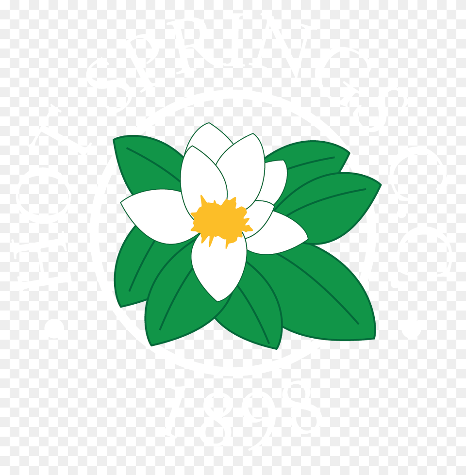 Hot Springs Cc, Anemone, Flower, Plant, Leaf Free Png Download