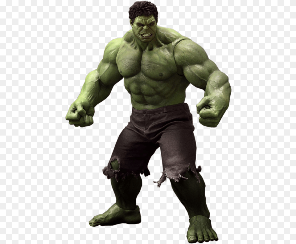 Hot Toys 1 6 Hulk, Adult, Person, Man, Male Free Png