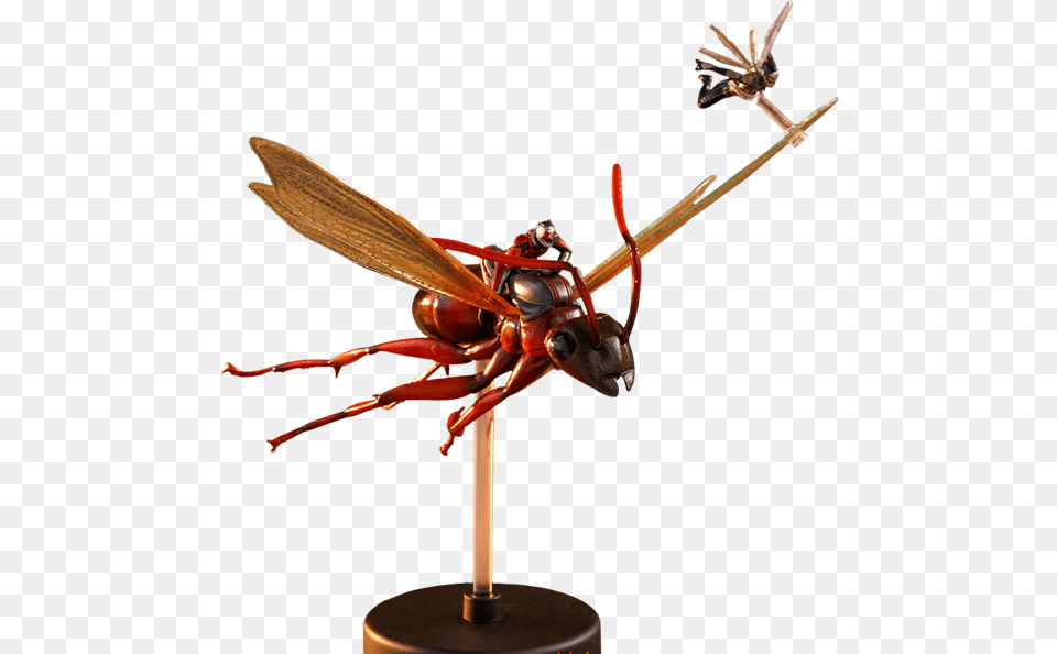 Hot Toys Ant Man And The Wasp Fly, Animal, Bee, Insect, Invertebrate Free Transparent Png