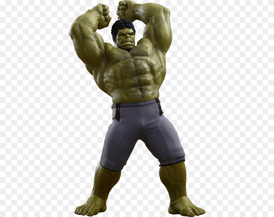 Hot Toys Hulk Deluxe Sixth Scale Figure Set Product Avengers Age Of Ultron Hulk Deluxe Sixth Scale, Adult, Male, Man, Person Free Png Download