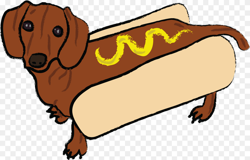 Hot Weiner Dog Weiner Dog Transparent, Food, Hot Dog, Person Free Png