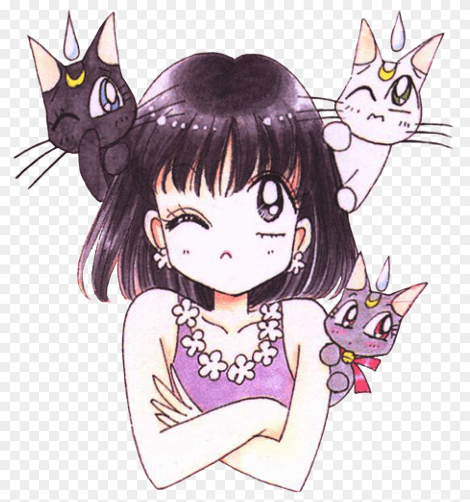 Hotaru Hotarutomoe Sailorsaturn Luna Animegirl Sailor Saturn, Publication, Book, Comics, Person Free Png Download