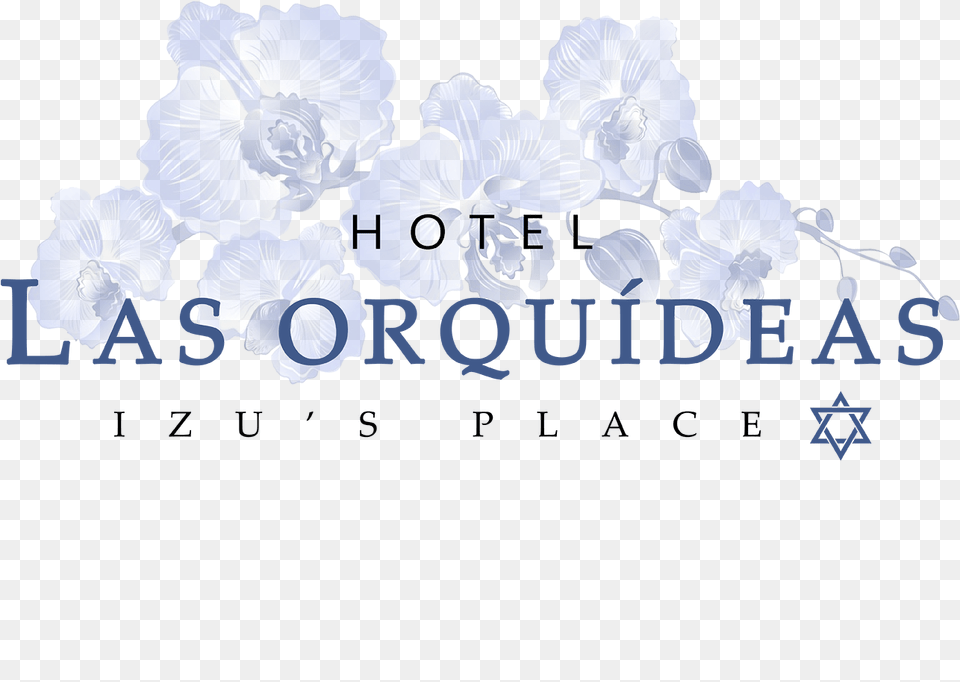 Hotel Las Orquideas Jaco, Flower, Plant, Orchid, Rose Free Png Download