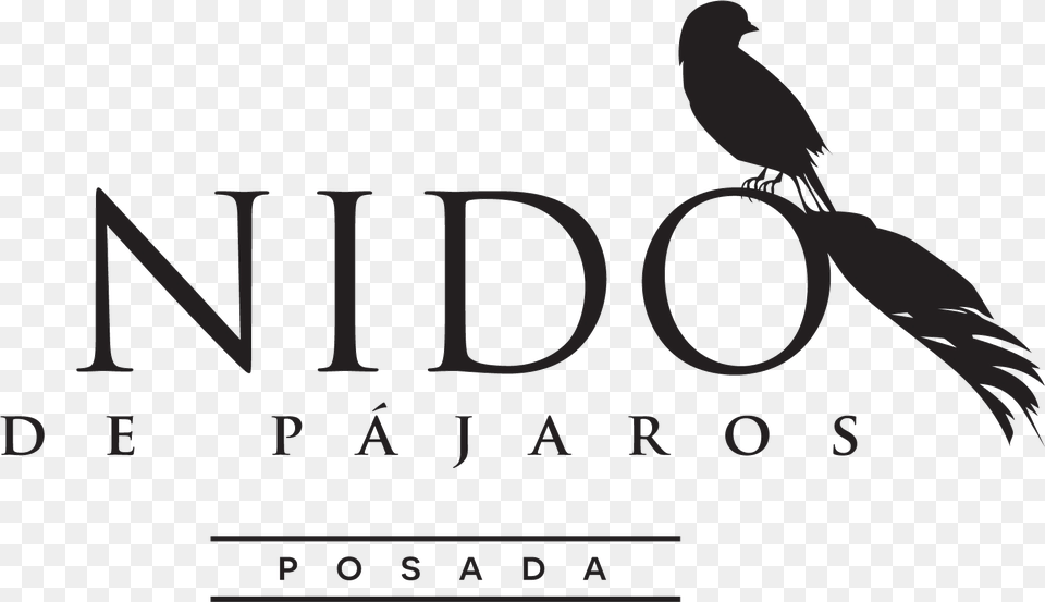 Hotel Nido De Pjaros Posada International Trade, Animal, Bird, Book, Publication Free Png