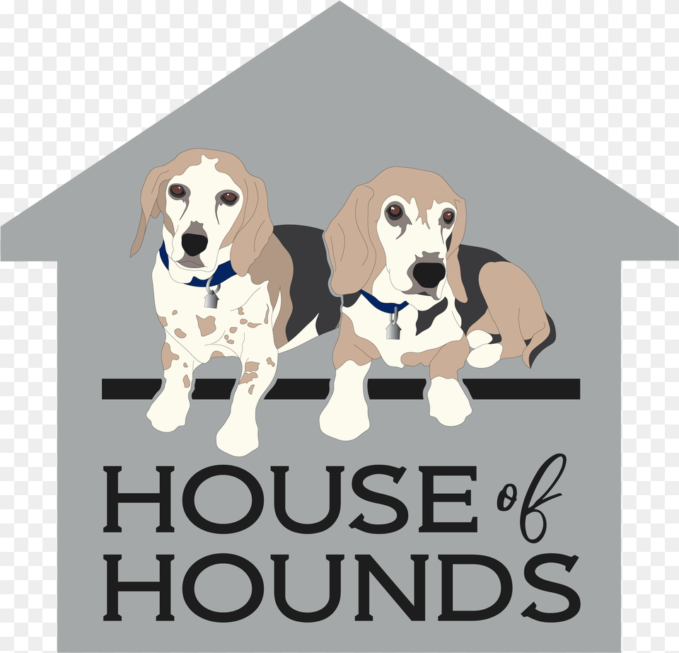 Hound, Animal, Canine, Dog, Mammal Free Transparent Png