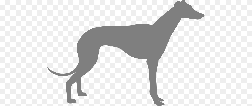 Hound Cliparts, Stencil, Accessories, Person, Animal Png