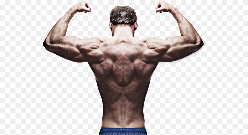 Hour Centre In Bodybuilder From Back, Body Part, Person, Adult, Male Png Image