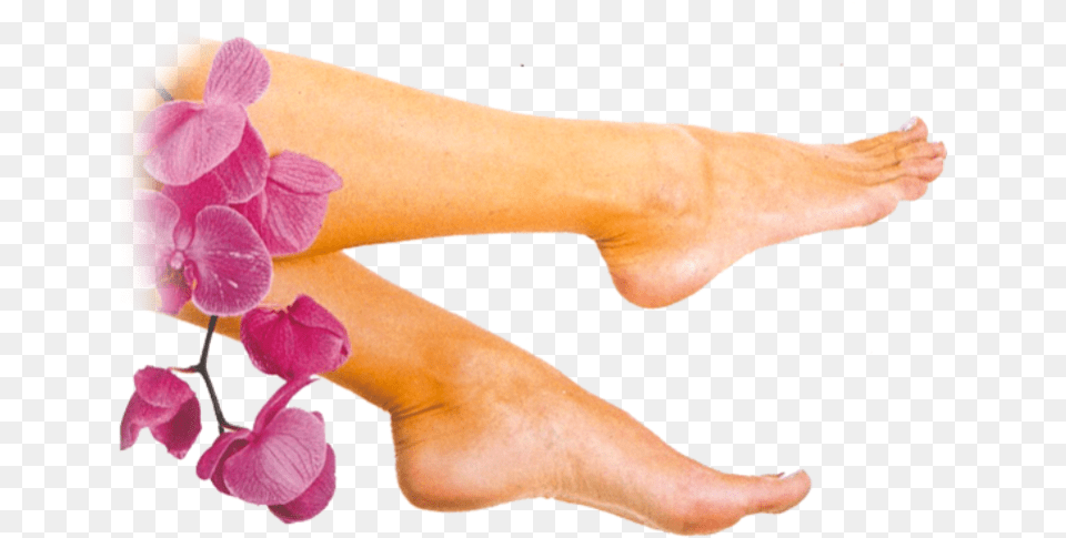 Hour Softsole Express Hair Removal, Ankle, Body Part, Person, Flower Free Png Download
