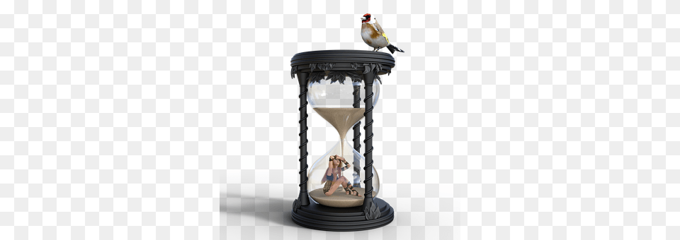 Hourglass Animal, Bird, Blade, Razor Free Png Download