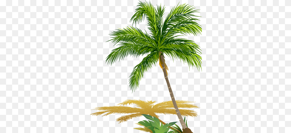 Hours Feat Childhood Memories Beach, Palm Tree, Plant, Tree, Leaf Free Png Download