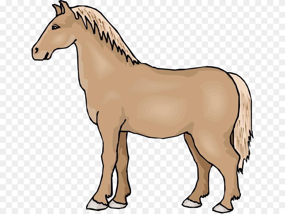 Hourse Horse, Animal, Colt Horse, Mammal Free Transparent Png